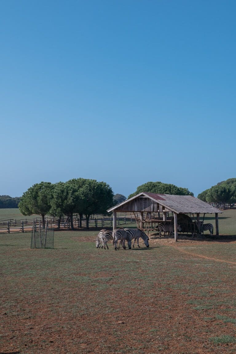 TOP 5 NATIONAL PARKS IN CROATIA: WONDERFUL PLACES YOU MUST VISIT!