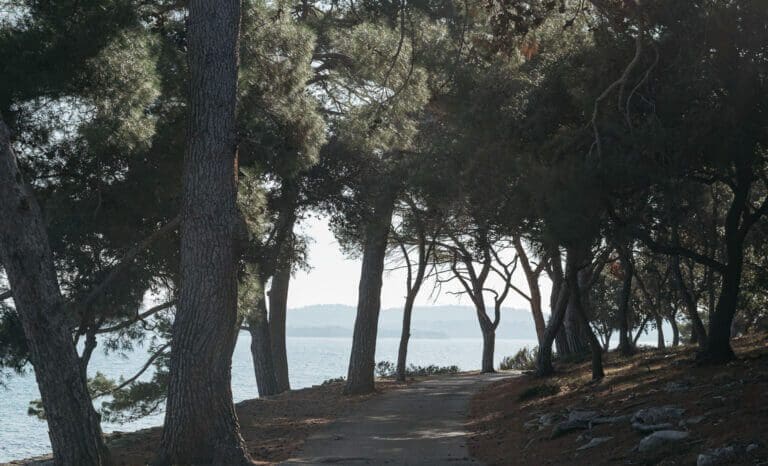 BRIJUNI: EVERYTHING YOU NEED TO KNOW FROM A LOCAL